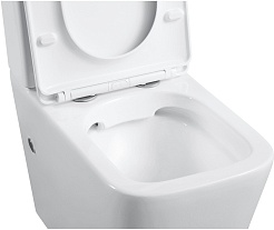 Black&White Унитаз Universe W-7703 безободковый – фотография-4